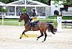 Sa Amateure Gold