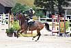 Sa Amateure Gold
