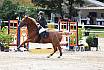 Sa Amateure Gold