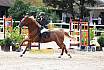 Sa Amateure Gold