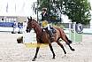 Samstag Amateur Bronze