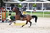 Sa Amateure Gold
