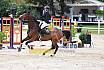 Sa Amateure Gold