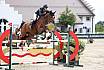 Sa Amateure Gold
