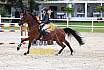 Sa Amateure Gold