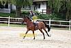 Sa Amateure Gold