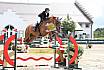 Sa Amateure Gold