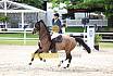 Sa Amateure Gold