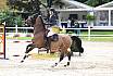 Sa Amateure Gold