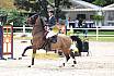Sa Amateure Gold