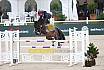 Sa Finale Youngster 