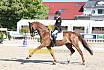 Donnerstag Junioren M Dressur
