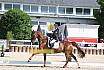 Donnerstag Junioren M Dressur