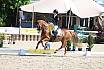 Donnerstag Junioren M Dressur