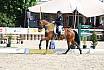 Donnerstag Junioren M Dressur