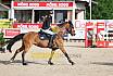 Freitag Pony Springpr&uuml;fung 