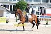 Donnerstag Junioren M Dressur