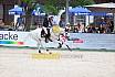 Samstag Championat CSI2 Sterne
