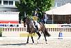 Donnerstag Junioren M Dressur