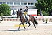 Donnerstag Junioren M Dressur