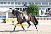 Donnerstag Junioren M Dressur