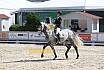 Donnerstag Junioren M Dressur