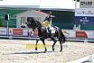 Donnerstag Junioren M Dressur