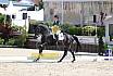 Donnerstag Junioren M Dressur