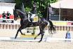 Donnerstag Junioren M Dressur