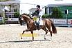 Donnerstag Junioren M Dressur