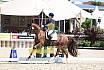 Donnerstag Junioren M Dressur