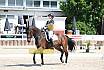 Donnerstag Junioren M Dressur
