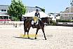 Donnerstag Junioren M Dressur