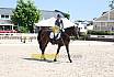 Donnerstag Junioren M Dressur