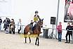 Springreiterwettbewerb