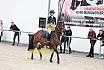 Springreiterwettbewerb
