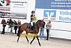 Springreiterwettbewerb