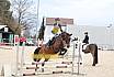 Springreiterwettbewerb