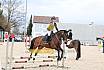 Springreiterwettbewerb