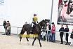 Springreiterwettbewerb