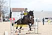 Springreiterwettbewerb