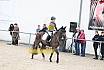 Springreiterwettbewerb