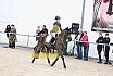 Springreiterwettbewerb