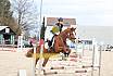 Springreiterwettbewerb