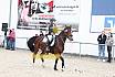 Springreiterwettbewerb