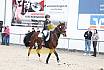 Springreiterwettbewerb