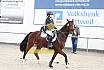 Springreiterwettbewerb