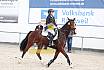 Springreiterwettbewerb