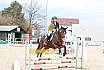 Springreiterwettbewerb