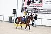 Springreiterwettbewerb